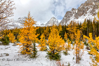 Larch Valley-9