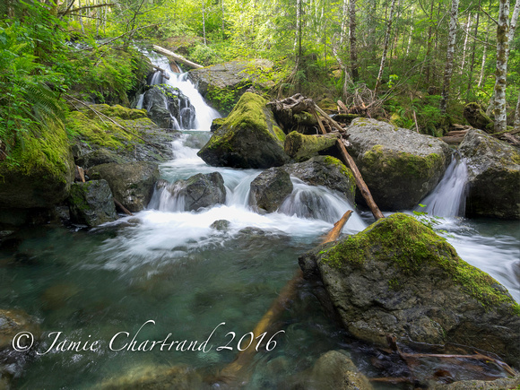 Sproat Lake Creeks-9