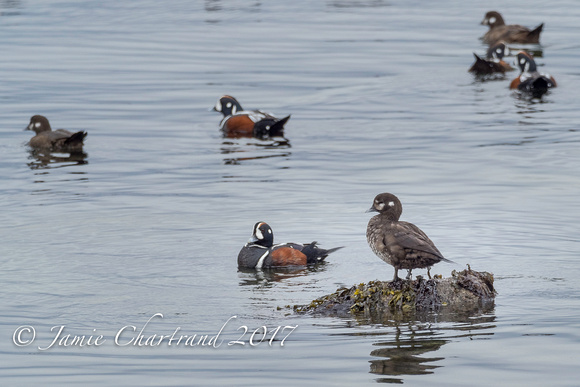 Grassy Point-2