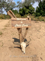 Chula Bush Camp