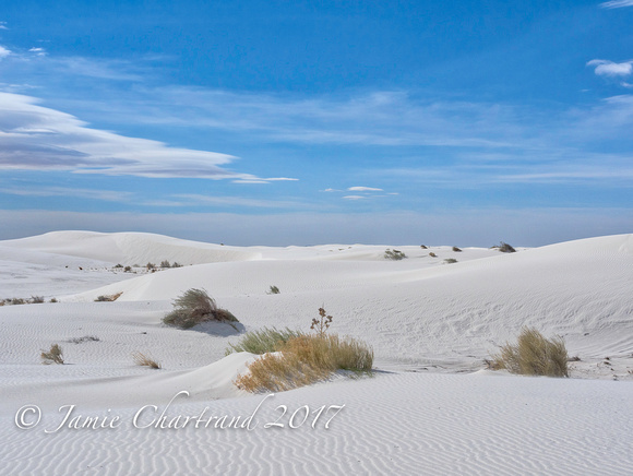 White Sands-14