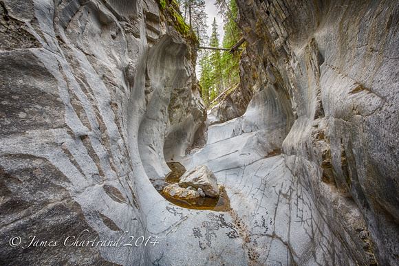 Nihahi Creek Hike-20