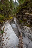 Nihahi Creek Hike-11