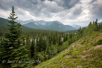 Nihahi Creek Hike-2