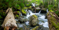 Sproat Lake Creeks-7