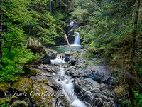 Sproat Lake Creeks-12