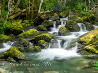 Sproat Lake Creeks-2