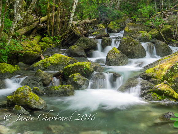 Sproat Lake Creeks-2