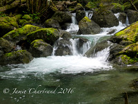 Sproat Lake Creeks-4