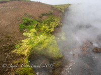 Deildartunguhver Thermal Spring-1